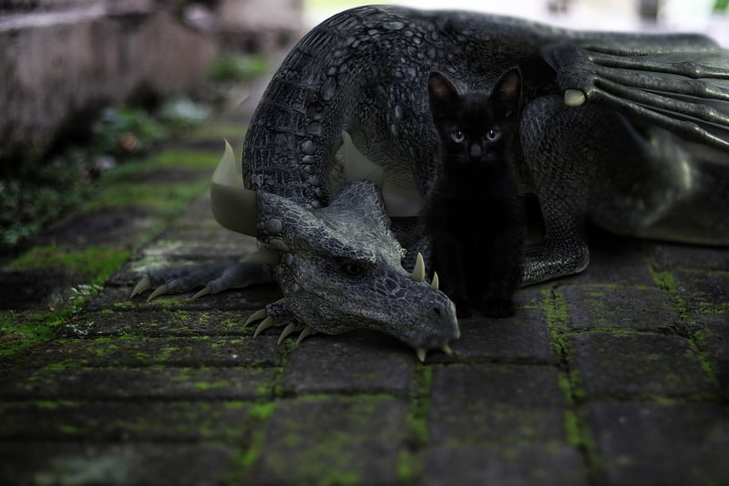 Mythical Pets