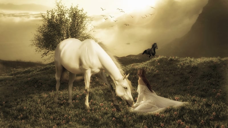 Fairy in a meadow